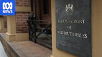 Council sued over alleged historical abuse at daycare services
