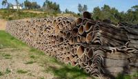 Portuguese Company Turns Cork Wood into Limitless Material, Even to Insulate Spacecraft