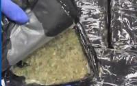 Oman Customs foil attempt to smuggle more than 10kg marijuana from Thailand