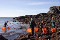A Battle Brews Over Maine’s Salmon Farms