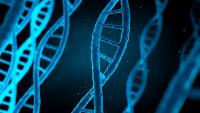 Gene Expression Shift May Predict Pancreatitis Severity