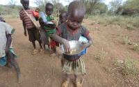 Kenya among countries facing acute food insecurity - report