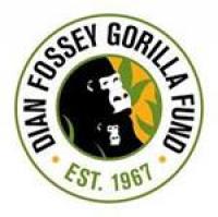 New Community Forest Recognition Expands Formal Protection for Grauer’s Gorillas in the Democratic Republic of the Congo
