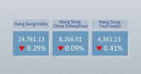 Hong Kong's Hang Seng Index closes 0.29 pct lower