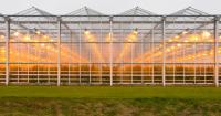 Why Waste Experts Are Betting on “Avoided Emissions” (AKA “Scope 4”)