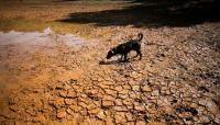 Explainer: What is a 'super El Nino' and how will it affect the weather?