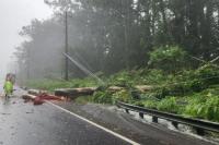 Hurricane Polo churns as new storm threatens Hawaii with ‘catastrophic flooding’