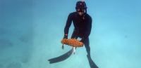 Centenarian ‘earthworm of the sea’ at risk of overfishing