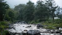 Bhutan launches Gross Ecosystem Product