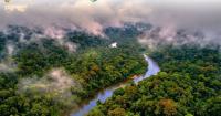 Oro Ecológico, EcoGuard Global, and Envex Technologies Form Strategic Alliance to Build Integrated Natural Capital Ecosystem for Carbon Markets Across Latin America