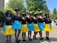 Mission to celebrate citizenship, culture at 2 events this weekend