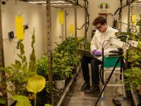 Oracle and Wild Bio partner to advance AI-powered agriculture