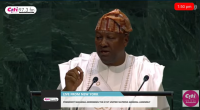 Africa deserves permanent seat on UN Security Council – Mahama