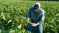 Syngenta unveils EXORT biological platform, first launch set for Latin America in 2027