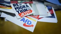 The German Political Party AfD, is planning the remigration ...