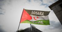 The Balearic Parliament condemns the death of the son of the Sahrawi former president in an attack by Morocco.