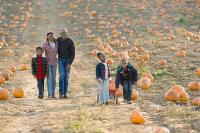 Order issued designating agricultural events as excused absences