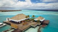 Pullman Maldives Maamutaa identifies six Indo-Pacific Leopard Sharks along house reef