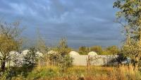 Starlink Station Fire In Poland Sparks Sabotage Fears, Denmark Warns Of Russian Threat