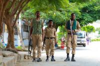 Analysis-Flush with allies, Tigray’s leaders face internal discord in new Ethiopia war