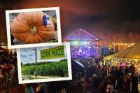 14 New Hampshire Fall Festivals Worth Checking Out