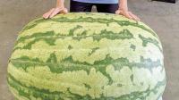 Woman wins watermelon weigh-in in Arkansas, sets Louisiana state record