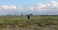 Indonesia passes agrarian reform law to boost peoples’ land rights