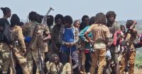 Renewed fighting in Ethiopia ends fragile 2022 peace deal