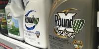What the U.S. Supreme Court’s pesticide ruling means for gardeners and farm workers