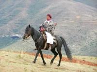 FORGOTTEN LIKHUTLONG VILLAGERS STILL RELY ON CATTLE CARTS, HORSES