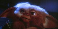 Warner Bros. Delays ‘Gremlins 3’ to 2028, Forcing Fans to Wait Another Year for Sequel