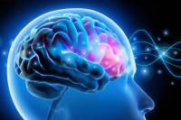 What Does Ultra-Processed Food Do to Your Brain? Scientists Found a Pattern