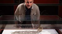This Amateur Archaeologist’s Metal Detector Wouldn’t Stop Beeping. He Found 934 Roman Silver Coins Buried in a German Field