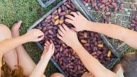 Dutch ban on settlement goods takes effect