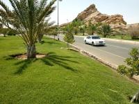 Al Ain new business licences surge 35%