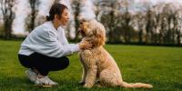 Scientists discover pets' brains understand human speech