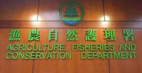 AFCD Completes Dog Capture Operation Following Fatal Attack Incident in Yuen Long