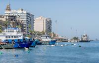 Egypt unveils fisheries monitoring project to strengthen data collection infrastructure