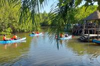 Hampshire travel company brings The Gambia into the classroom with educational school trips