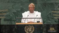 ‘Africa’s cultural heritage story must continue with its return’ – Mahama insists