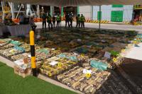 Kenya destroys $63 million meth haul intercepted at sea