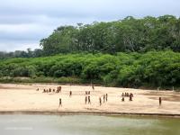 Peru faces hearing over threats to uncontacted Indigenous groups in the Amazon