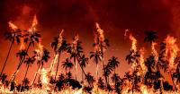 World Braces for Nearly a Half Million El Niño Deaths