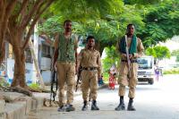Ethiopian army says 272 Tigrayan fighters killed in Amhara