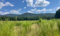 Georgia DNR, Partners Announce Deal to Restore Beloved Pine Log WMA