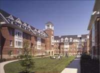 The College Expectation: How Reality Differs From Advertisement