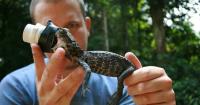 FIU researcher to be featured on National Geographic’s new docuseries