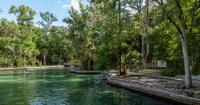 Nine Florida springs will get new cleanup plans under legal settlement