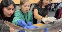Central Elementary students get hands-on learning about environment through Guy Harvey Conservation School