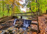 Ramapo students take on invasive plant life at New Jersey nature preserve 